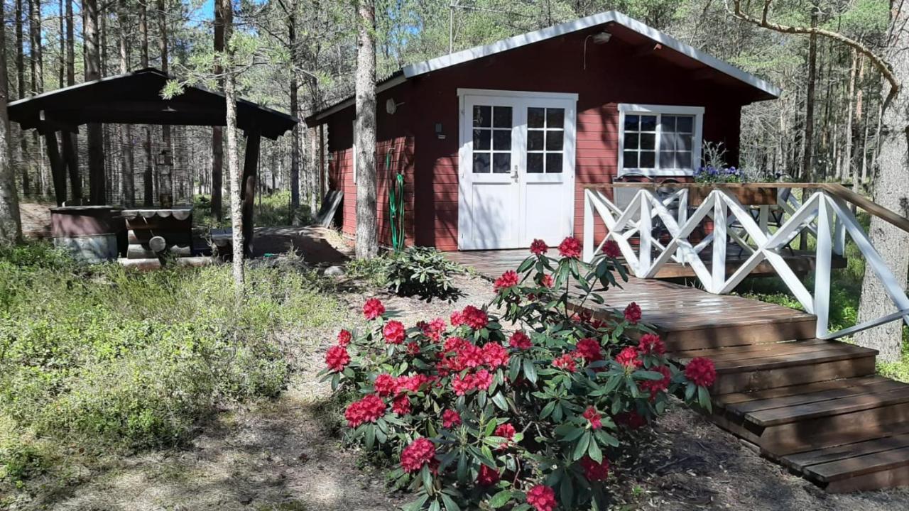 Nova Madise Guesthouse Rannaküla Exterior foto